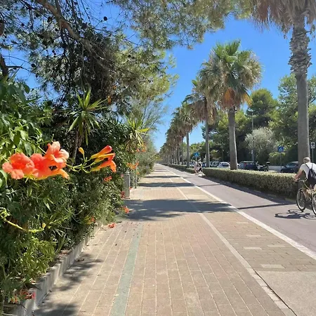 Casa Delle Ninfee Vicino Al Lungomare * Montesilvano Marina