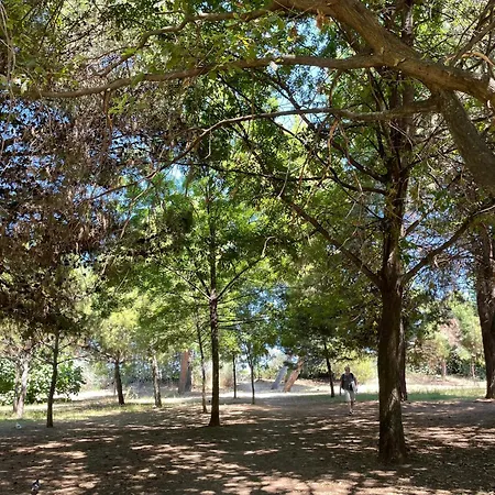 Apartament Casa Delle Ninfee Vicino Al Lungomare Montesilvano Marina